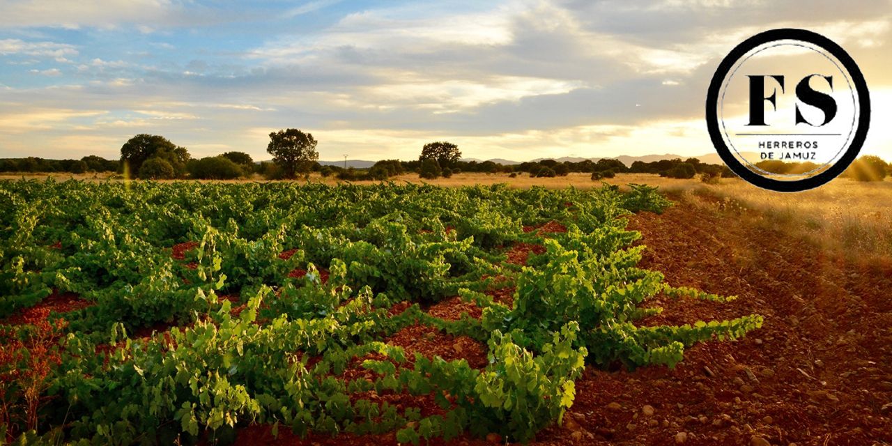  Fuentes del Silencio, la recuperación vitivinícola del Jamuz
