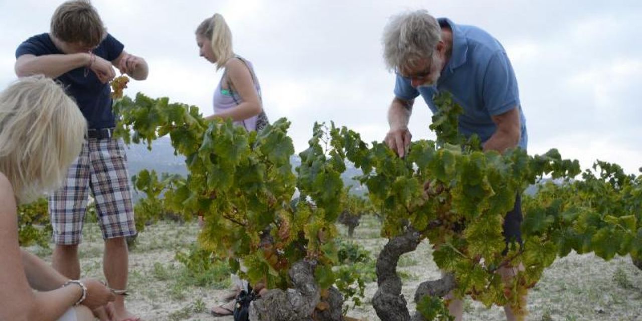  Benitachell nos porpone la ruta 