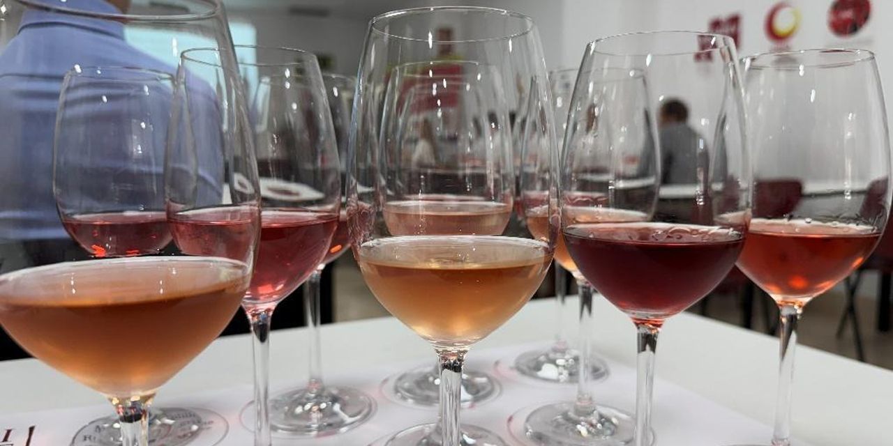 Ribera del Duero refuerza su apuesta por los rosados y claretes con una cata exclusiva para profesionales en Santander