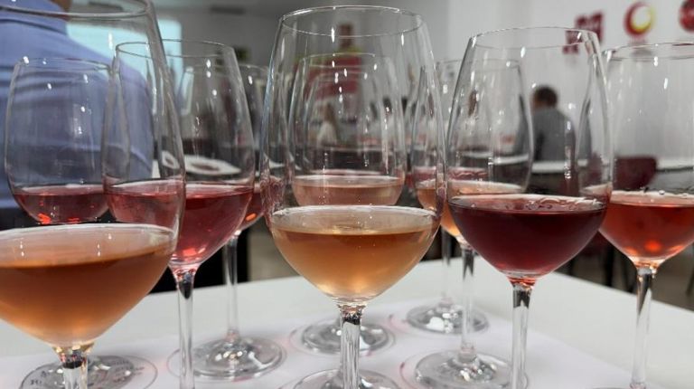 Ribera del Duero refuerza su apuesta por los rosados y claretes con una cata exclusiva para profesionales en Santander