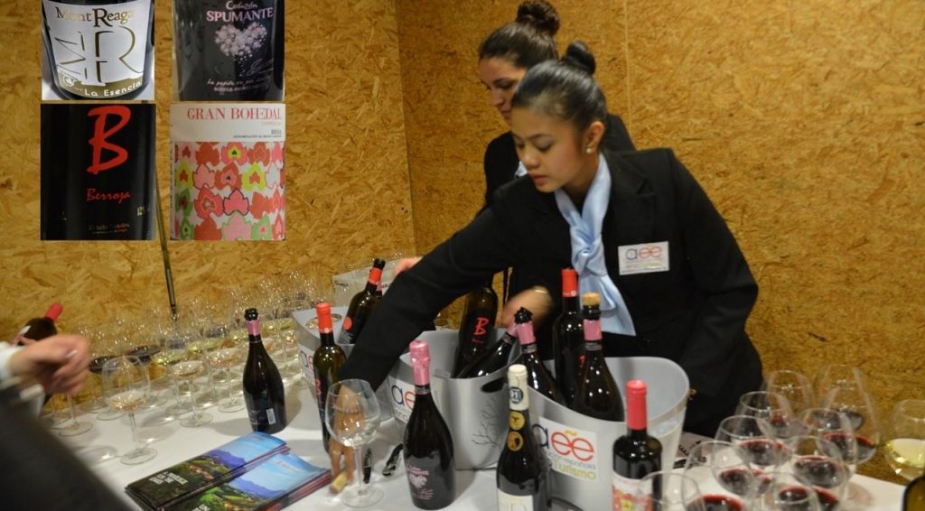  El libro 'Experiencias de éxito en EnoTurismo' promueve la cooperación en el sector